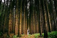 Lake District Wedding Photographers 1079987 Image 6